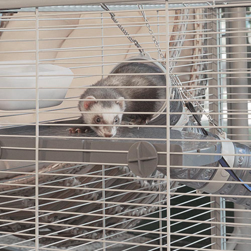 Двоповерхова клітка Ferplast Furet Tower для тхорів на колесах