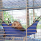 Двоповерхова клітка Ferplast Furet Tower для тхорів на колесах