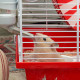 Клітка Ferplast Coney Island White для хом'яків 