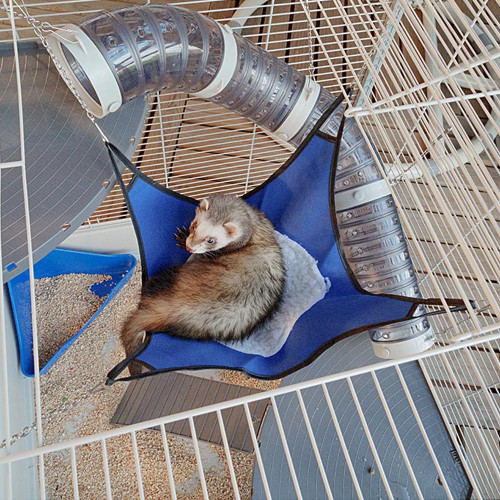 Клітка Ferplast Furet XL для тхорів
