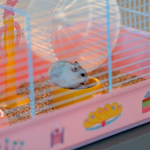 Клітка Ferplast Cage Criceti 9 Princess для хом`яків