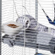 Клітка Ferplast Furet XL для тхорів