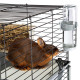 Клітка Ferplast Rabbit 100 Double для кроликів