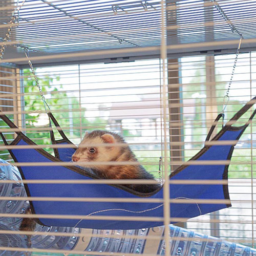 Двоповерхова клітка Ferplast Furet Tower для тхорів на колесах