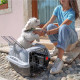 Переноска Ferplast Atlas Deluxe 10 Open для кішок і дрібних собак з верхом, що відкривається