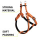 Шлейка для собак із переробленого матеріалу Ferplast Greener Soft P S Orange