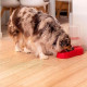 Диспансер Ferplast Azimut 3000 для води та корму для тварин