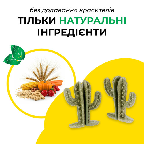 Овочеві ласощі Ferplast Bites Cactus для кроликів, хом'яків та морських свинок