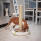 Іграшка-кітгеточка Ferplast Magic Tower для котів