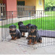 Загон для собак и щенков Ferplast Dog Training, можно использовать в качестве перегородки