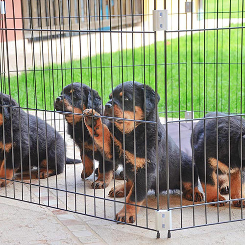 Загон для собак и щенков Ferplast Dog Training, можно использовать в качестве перегородки
