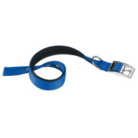 Нейлоновый ошейник для собак Ferplast Daytona C30/55 Blue