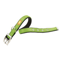 Нейлоновий нашийник для собак Ferplast Dual Colours CF25/45 Verde Acido
