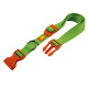 Нейлоновий нашийник для собак Ferplast Club C10/32 Colours Verde Cido