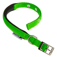 Нейлоновий нашийник для собак Ferplast Daytona C20/43 Verde Acido