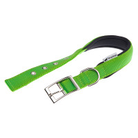 Нейлоновий нашийник для собак Ferplast Daytona C25/53 Verde Acido