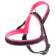 Нейлонова шлейка для собак Ferplast Sport Dog P S Fuchsia