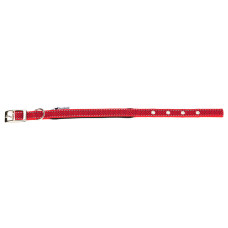 Светоотражающий ошейник для собак Ferplast Daytona Deluxe C15/35 Red