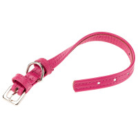 Ошейник из натуральной кожи для собак Ferplast Vogue CF15/29 Fuchsia
