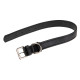Нашийник з натуральної шкіри для собак Ferplast Vogue CF25/49 Black