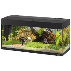 Стеклянный аквариум со светильником и фильтром Ferplast Dubai 100 Led Black на 190 л