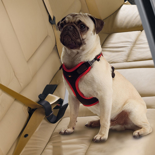 Ремень безопасности для собак Ferplast Dog Travel Belt