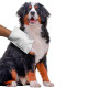 Одноразовые влажные очищающие перчатки для кошек и собак Ferplast Genoci Fresh Glove с зеленым чаем и ромашкой 