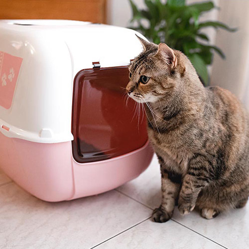 Закритий туалет Ferplast Prima Decor Rosa для кішок з малюнком