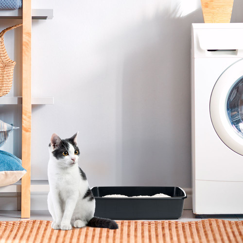 Лоток Ferplast Nip 20 для котів