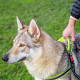 Нейлонова шлейка для собак Ferplast Sport Dog P L Yellow