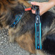 Ошейник для собак на подкладке Ferplast Sport Dog C25/55 Blue