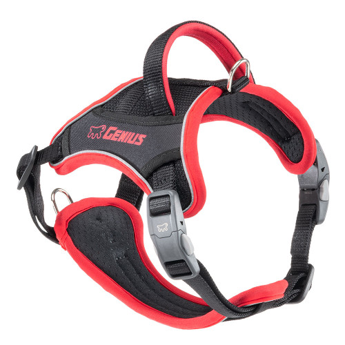 Дихаюча шлейка для собак Ferplast Genius P S Red