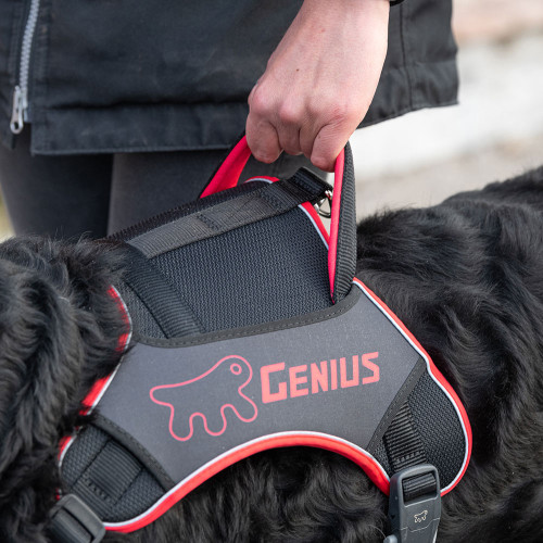 Дихаюча шлейка для собак Ferplast Genius P XL Red