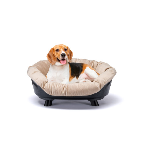 Піднесена лежанка для собак та кішок Ferplast Sofa' Throne 6 Black