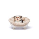 Піднята лежанка для собак та кішок Ferplast Sofa’ Throne 4 White