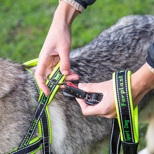 Нейлонова шлейка для собак Ferplast Sport Dog P L Yellow