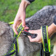 Нейлонова шлейка для собак Ferplast Sport Dog P L Yellow