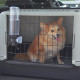 Универсальный диспенсер для воды для переносок собак Ferplast Drinky Dog 600 мл