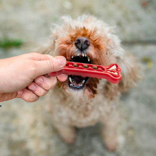 Жувальна іграшка для собак, кістка, наповнюється шматочками Ferplast Smile Bone M Red
