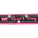 Повідець для собак з автоматичним карабіном Ferplast Sport Dog Matic G20/120 Fuchsia
