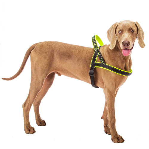 Нейлонова шлейка для собак Ferplast Sport Dog P L Yellow
