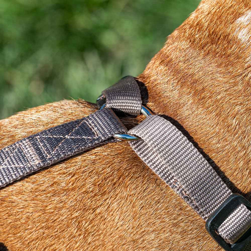 Регульована шлейка для собак, що захищає від втечі Ferplast Brave P M Brown