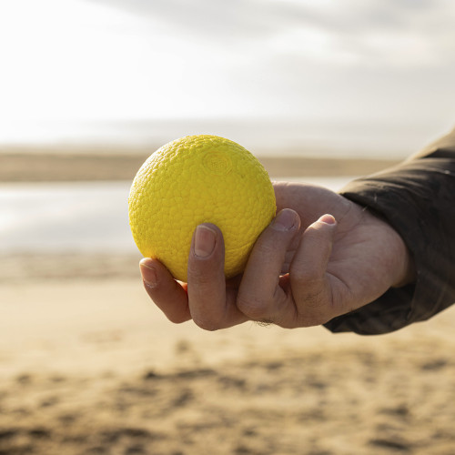 Игрушечный мяч для собак Ferplast Chewa Boing Ball L Yellow