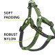 Нейлонова шлейка для собак Ferplast Daytona P M Green