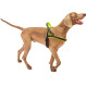 Нейлонова шлейка для собак Ferplast Sport Dog P L Yellow