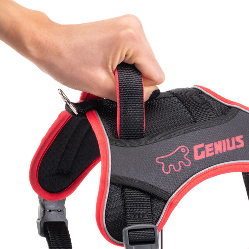 Дихаюча шлейка для собак Ferplast Genius P M Red